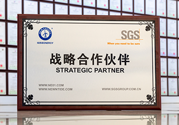 2025-08-SGS战略相助同伴