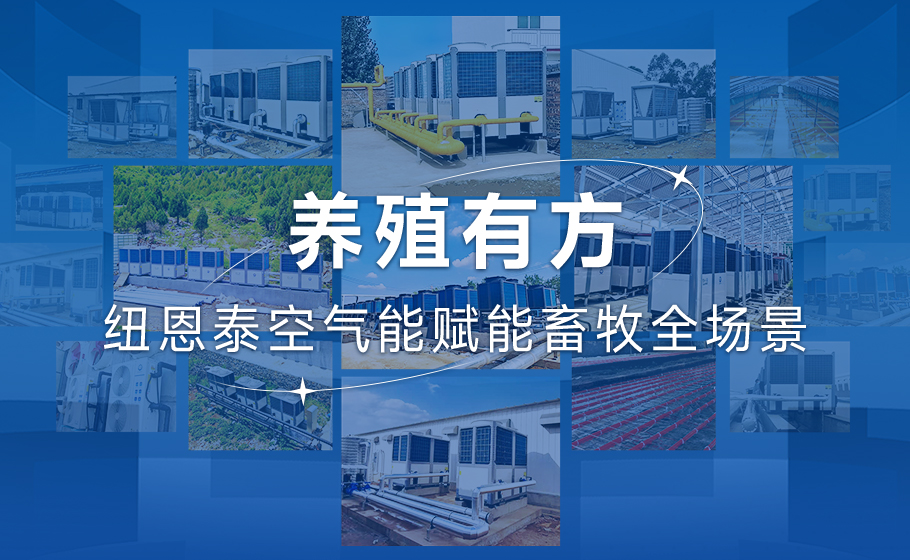 养殖有方！九五至尊VI老品牌空气能赋能畜牧全场景！